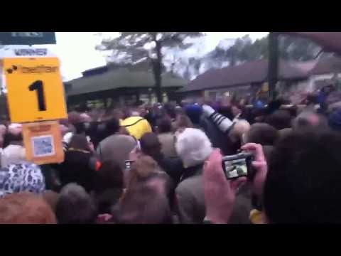 Kauto Star after Betfair Chase 2011 Haydock Park