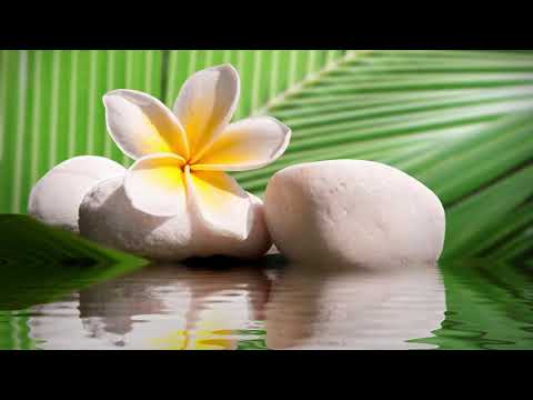 Aukahi Pride-Ahu Lili