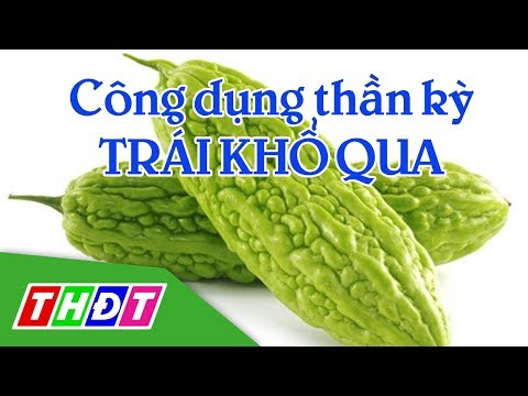 , title : 'Công dụng của trái khổ qua | Sống khỏe | THDT'