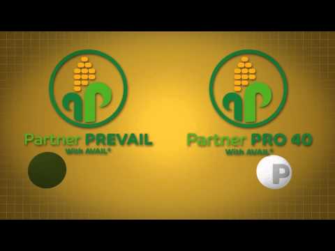 Country Partners - Partner Prevail