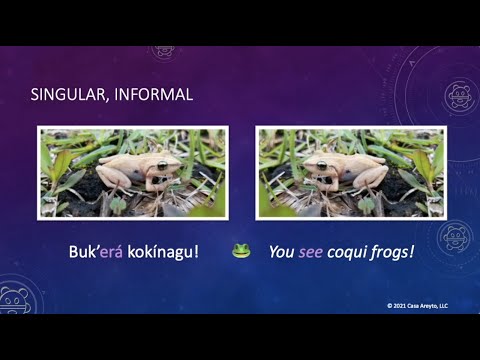 Let's Talk Taíno - Best of Taíno Animals (Part 1)