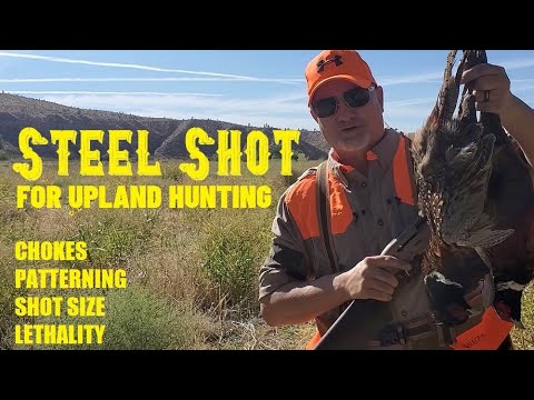 STEEL SHOT FOR UPLAND HUNTING