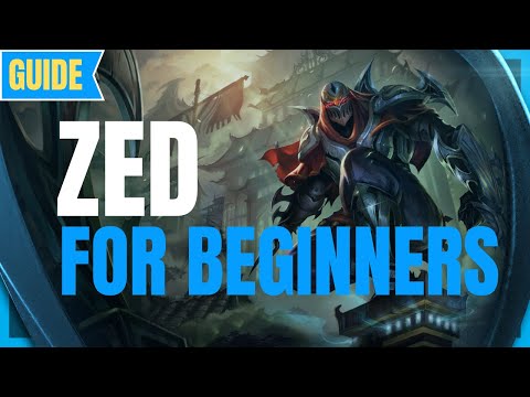 Zed Guide for Beginners - How To Zed - Zed Tutorial - Learn Zed