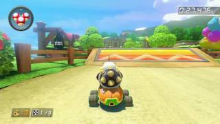Animal Crossing - 1:35.634 - Kyle Wade (Mario Kart 8 World Record)