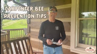 Carpenter Bee Prevention Tips | Honest Abe Log Homes