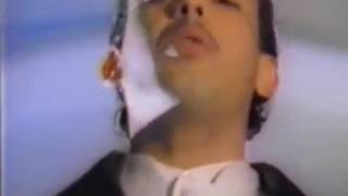 La gata Daddy Yankee y Nicky jam