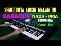 TIADA YANG LAIN Fenomena KARAOKE Nada Pria HD
