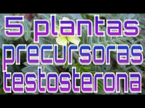 download lagu mp3 mp4 Tocatali, download lagu Tocatali gratis, unduh video klip Tocatali