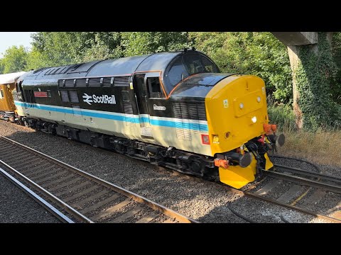 Class 37 | 37401 ‘Mary Queen of Scots’ | Locomotive Services Limited - LSL