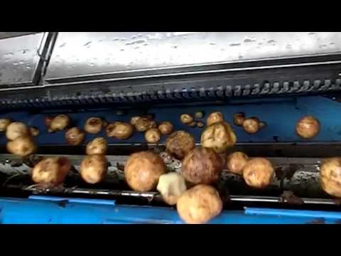 download lagu mp3 mp4 Potato Sorting Equipment, download lagu Potato Sorting Equipment gratis, unduh video klip Potato Sorting Equipment
