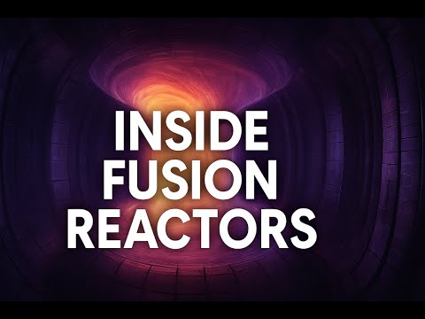Inside Fusion Reactors