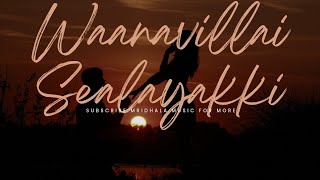 Download lagu Waanwaillai Sealayakki | Mridhala Music | #music #love #song #newsong #tamil #tamilsongs #songs #for mp3