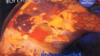 Fortran 5 - Persian Blues (Soundclash Republic)