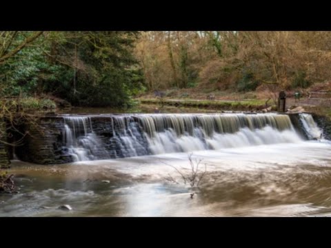 What Is A Weir And How Do They Work?