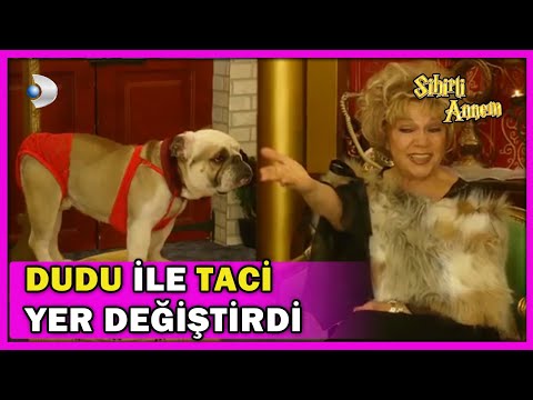 Dudu ile Taci YER DEĞİŞTİRDİ! - Sihirli Annem Özel Klip