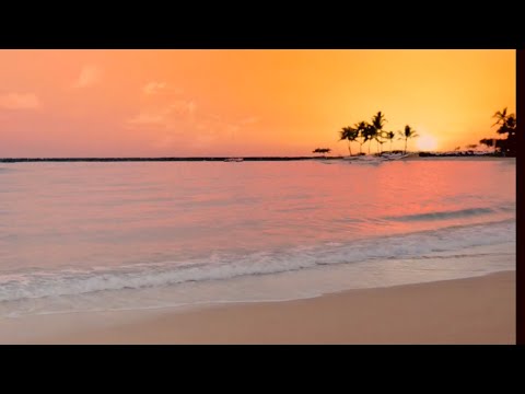 Jeffrey Herlings / Jago Geerts / Jorge Prado /  #92 Justus Brodeßer MX-Rookie @ KTM SX65