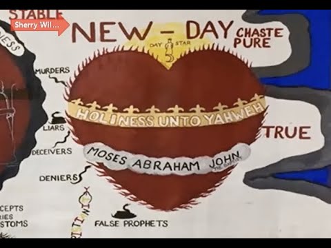 Feb 8th 2023 The Heart Can't Get Cancer