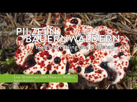 , title : 'Pilze in Bauernwäldern - Wissenschaftlicher Vortrag'