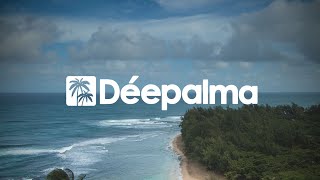 Music video thumbnail preview for Milk \u0026 Sugar feat. Ron Carroll - House Dimension (Brokenears Extended Remix) by Milk & Sugar