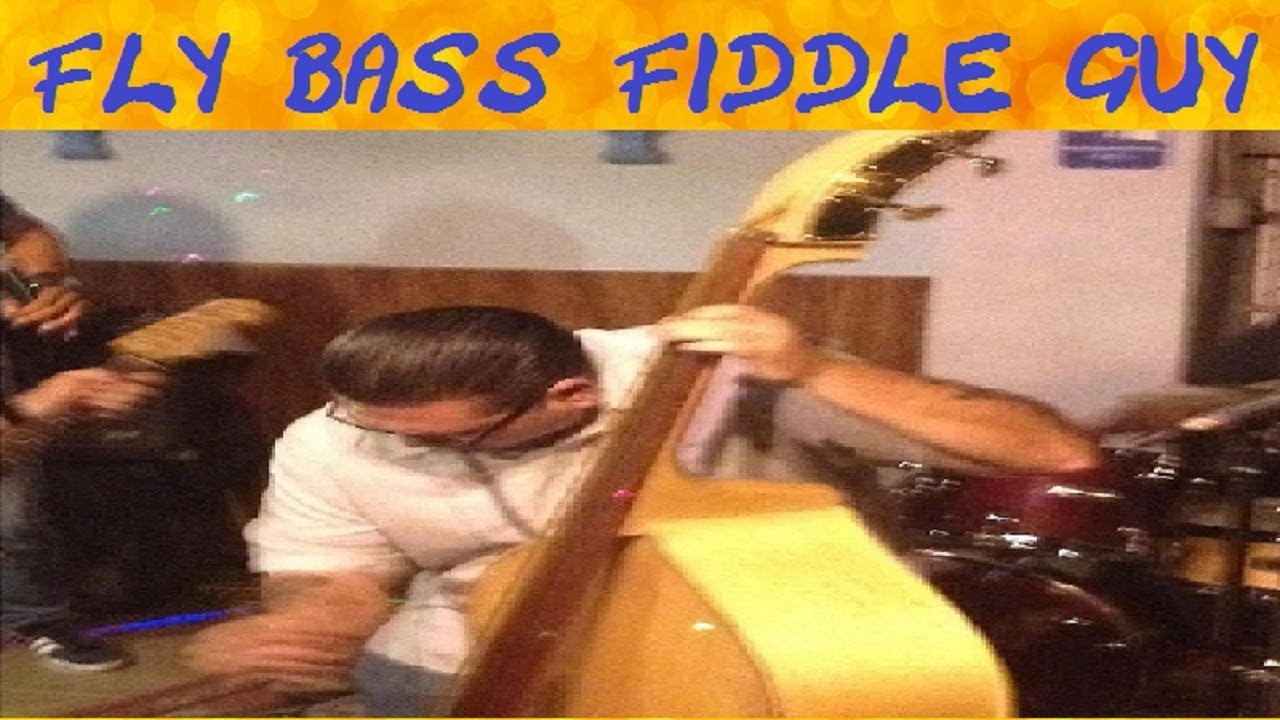 Promotional video thumbnail 1 for Fly Bass Fiddle Guy