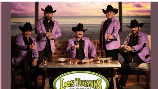 El Primo De La Costa – Los Tucanes de Tijuana (Lyric Oficial)