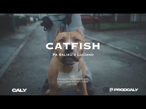 [FREE] Pa Salieu x Luciano x Afro Drill Type Beat "CATFISH" | UK Drill Rap Instrumental (prod. CALY)