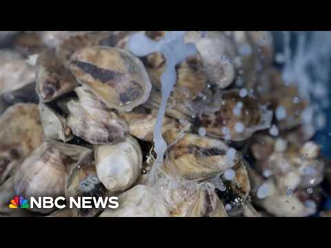 Flesh-eating bacteria kills one person in Florida