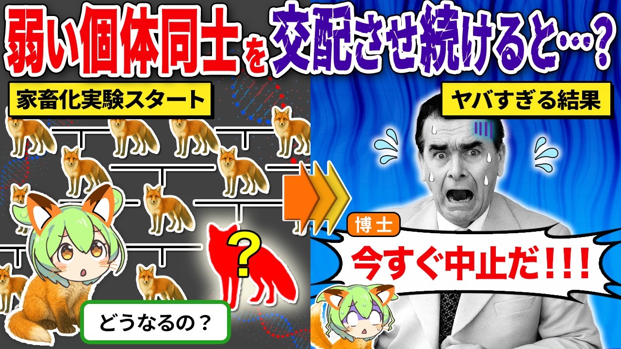 弱い個体同士を40年以上交配させ続けた結果がヤバすぎる
