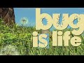 Bug Is Life YTP