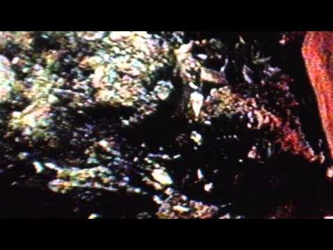 Video thumbnail for King Tut