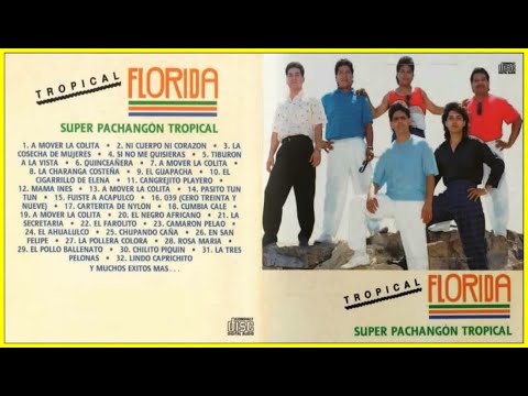 SUPER PACHANGON - TROPICAL FLORIDA