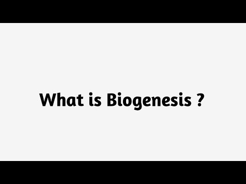 What is Biogenesis  ?