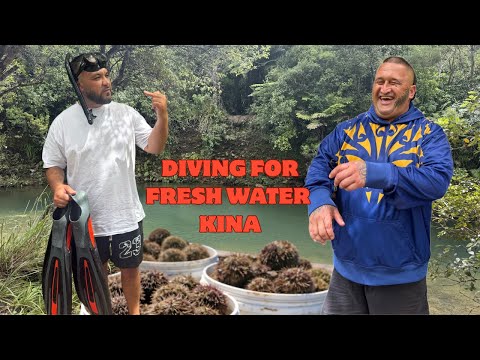 THE CUZ SET ME UP! Welcome back Cuzzy Malx