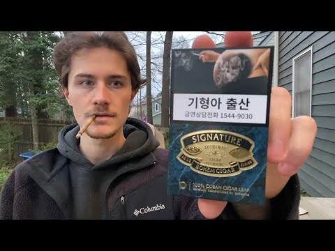 Smoking a Bohem Cigar Signature Cigarette - Review