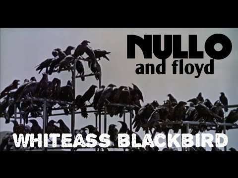 Whiteass Blackbird feat. Dirk Wasp | NULLO and floyd MV 2020