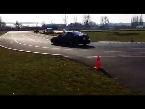 XII Urodzinowy Zlot Celica-Club Poland