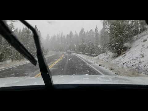 Snow in Yellowstone national  park September 2019