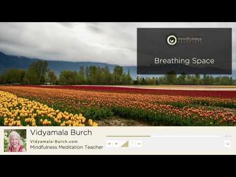 Breathing Space - A Guided Meditation by Vidyamala Burch