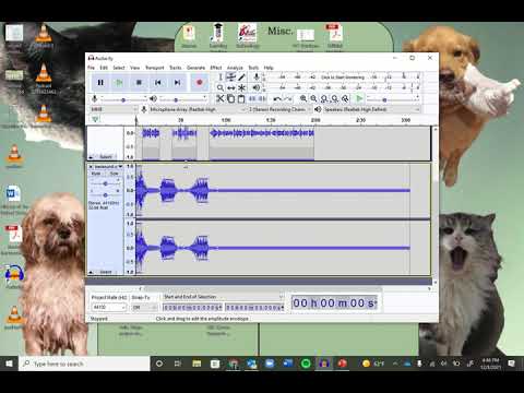 Audacity Tutorial