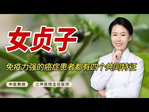 女貞子