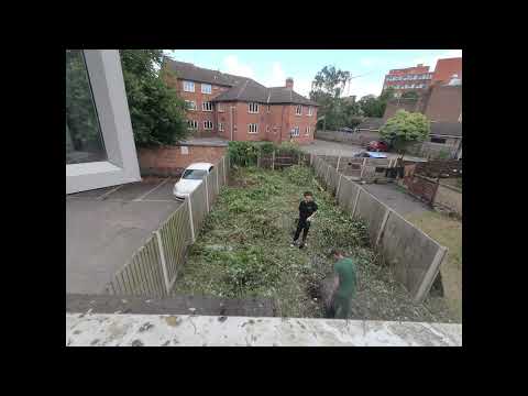 CRAZY Overgrown Garden TIMELAPSE!
