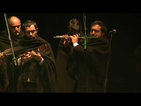 Estudantina Universitária de Lisboa - Bandolinata (Instrumental) | XXIX FITU Bracara Avgvsta