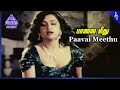 Neethikku Thandanai Movie Songs Paavai Meethu Parijatham Video Song Raadhika Nizhalgal Ravi