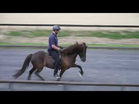 Vina von Aegidienberg