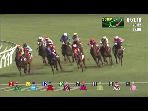 26/5/2021 (701) Great Harvest - A Badel