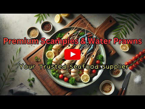 Scampies Premium | Udang Galah | Pembekal Makanan Laut | C H Seah Fishery