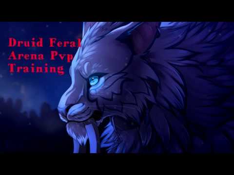 7.3.5 Feral Druid PvP - Wow Legion