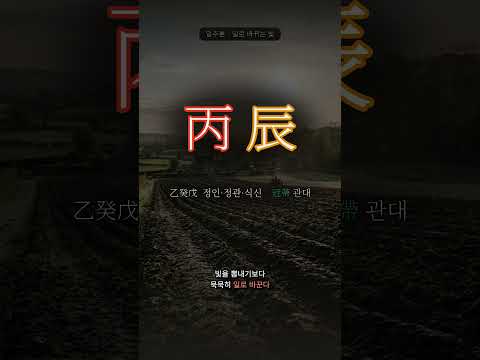 촉촉한 땅을 비추는 해 | 병진(丙辰) 일주