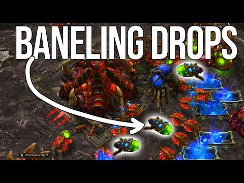 BANELING Drops In ZvZ | Dark (Z) vs Rogue (Z)