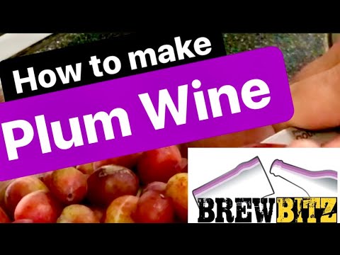 How to make Plum Wine Recipe by Brewbitz Homebrew